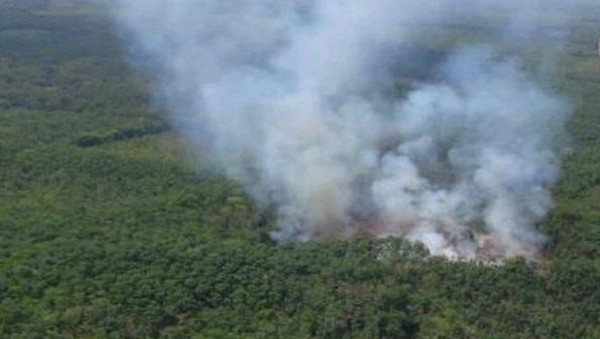 Karhutla di Sumsel Capai 2,935 ha Sepanjang Januari-Agustus 2025